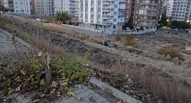 Ağacı kopartıp 200 metre uçtu