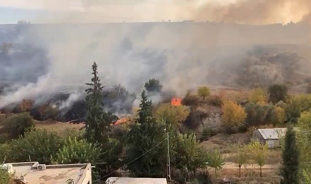 Anız yangını bahçelere sıçradı