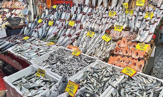 Balık tezgahlarında palamut yerini hamsi ve çinekop bıraktı