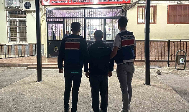 Göçmen kaçakçılığı operasyonu