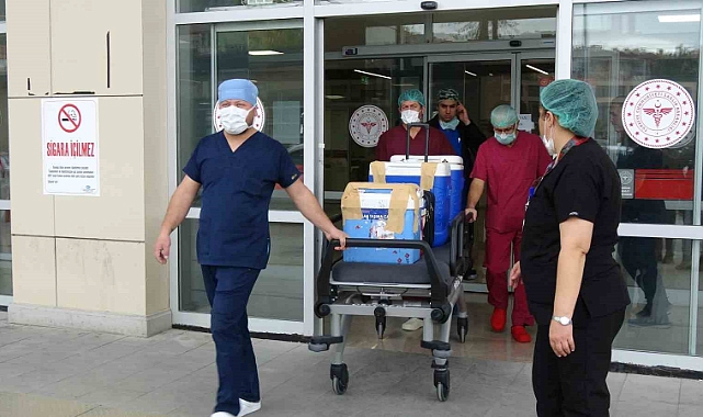 Kaza sonrası beyin ölümü gerçekleşen 19 yaşındaki Fatma’nın organları 4 hastaya umut oldu