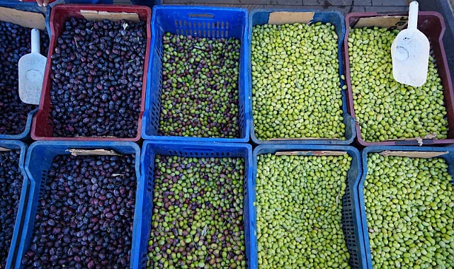 Kilis’te yerli sofralık zeytin tezgahlarda yerini aldı