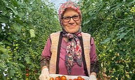 Kocası 5 çocuğuyla bırakıp kaçınca 46 sene ev temizledi, şimdi ise 75 yaşında serada çalışıyor