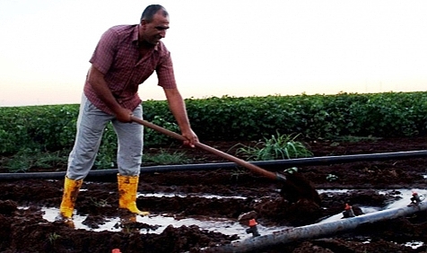 'Vahşi sulama kuraklık kadar tehlikeli'