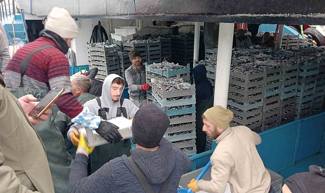 Tonlarca hamsi çıktı