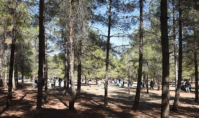 Urfa'da ormanlık alanlara giriş yasağı kalktı