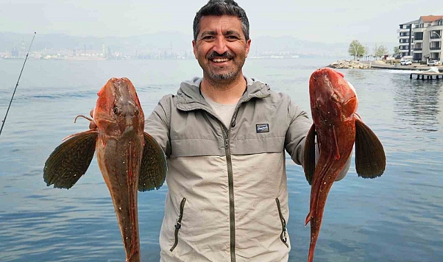Amatör balıkçı toplam 6 buçuk kiloluk 2 balık yakaladı, o anlar kamerada