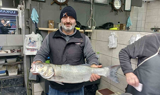 Balıkçıların ağları doldu, 9 kiloluk levrek yakalandı