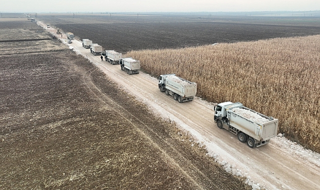 BÜYÜKŞEHİR’DEN CEYLANPINAR'DA HİZMET SEFERBERLİĞİ
