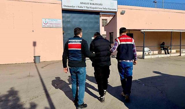 El Kaide operasyonu: 1 tutuklama