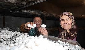Emekli olunca hobisi ekmek teknesi oldu
