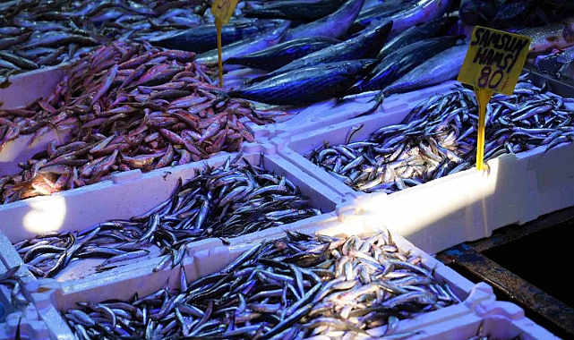 Fiyatı 80 TL’ye düşen hamsi kapış kapış