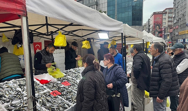 İstavritin bolluğu fiyatları düşürdü