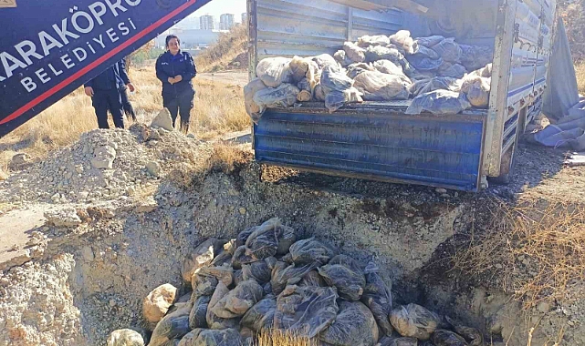 Karaköprü'de gıda terörü!