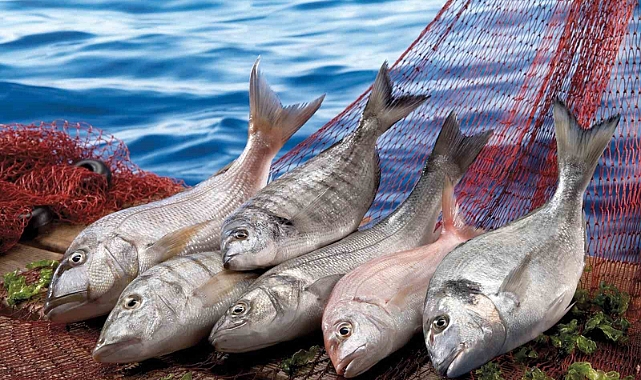 Muğla, Kasım ayında Ege’nin ihracat artış rekortmeni oldu
