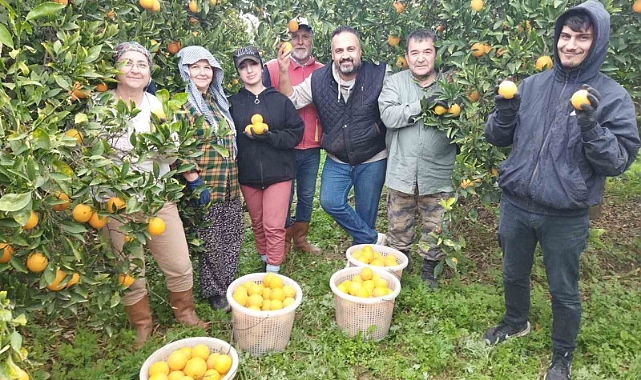 portakal üreticisi bu yıl umduğunu bulamadı