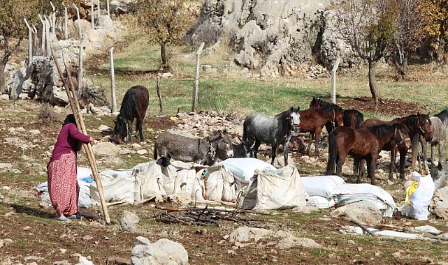 Şırnak’ta göçerlerin kışlaklara doğru zorlu yolculukları devam ediyor