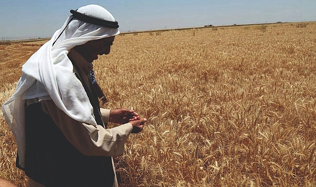 Urfa çiftçisine önemli çağrı