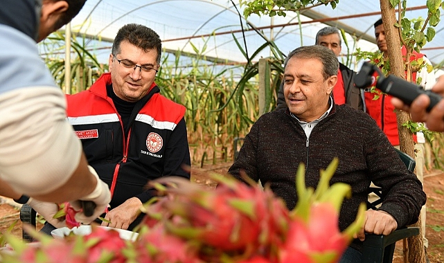 Urfa'da 'Ejder meyvesi' üretimi yüz güldürdü