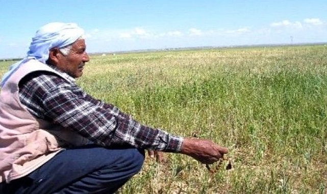 Urfa'yı bekleyen büyük tehdit