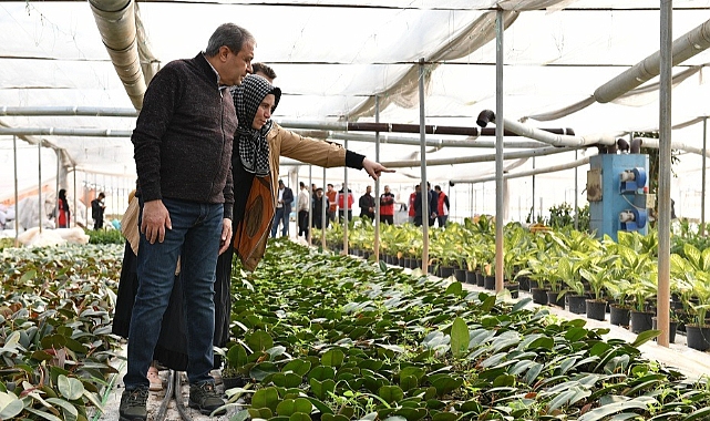 Urfalının başaramayacağı şey yok