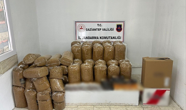 1 ton 700 kilo kaçak tütün ele