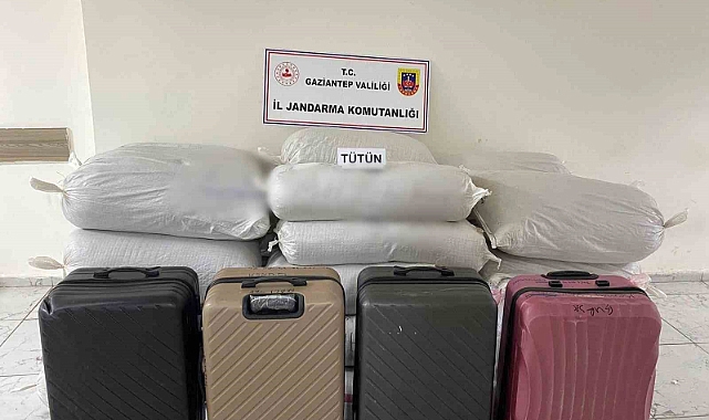 1 ton 750 kilo kaçak tütün ele geçirildi