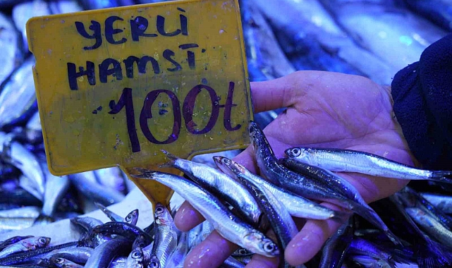 2024’te 200 TL olan hamsi 2025’te 100 TL’den satılıyor