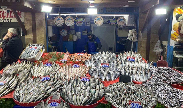 Balık çeşitliliği Karadeniz’i aratmıyor