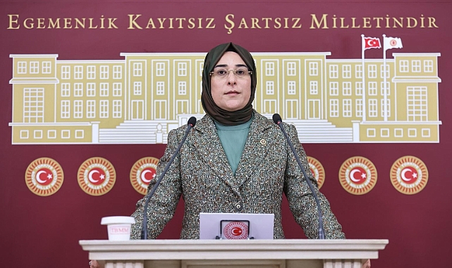 'Gazetecilerimize büyük sorumluluk düşüyor'
