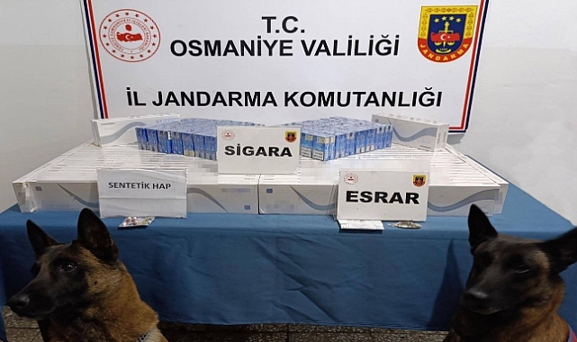 Jandarma son bir haftada 107 kişi yakalandı