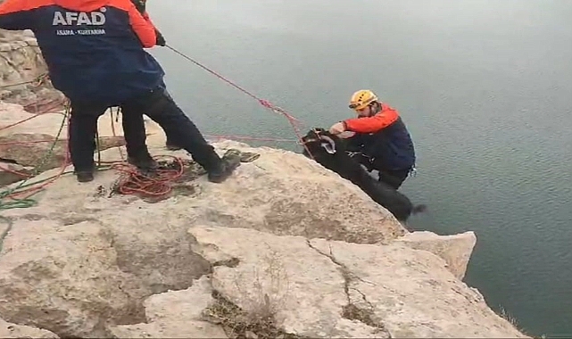 Kayalıklarda mahsur kalan 20 keçi AFAD ekiplerince kurtarıldı
