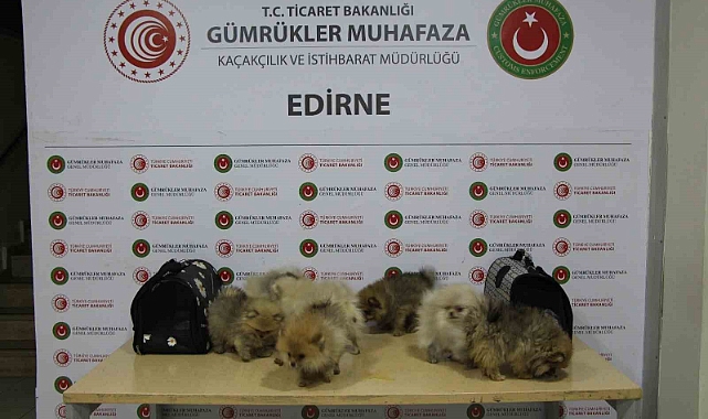 Ticaret Bakanlığı yasa dışı ticarete engel oldu