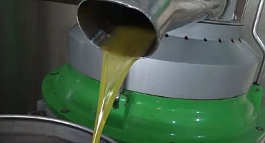Zeytinin yağa dönüşüm yolculuğu başladı