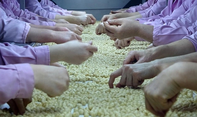 AB ülkelerine 2 bin 416 ton fındık ihraç edildi