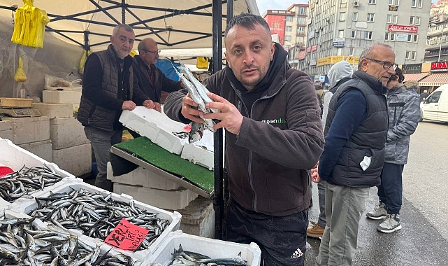 İstavrit tezgahları şenlendirdi