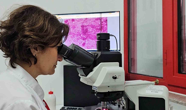 Kontrolsüzce çevreye bırakılan etler "kist hidatik enfeksiyonunun’ yayılmasına neden oluyor