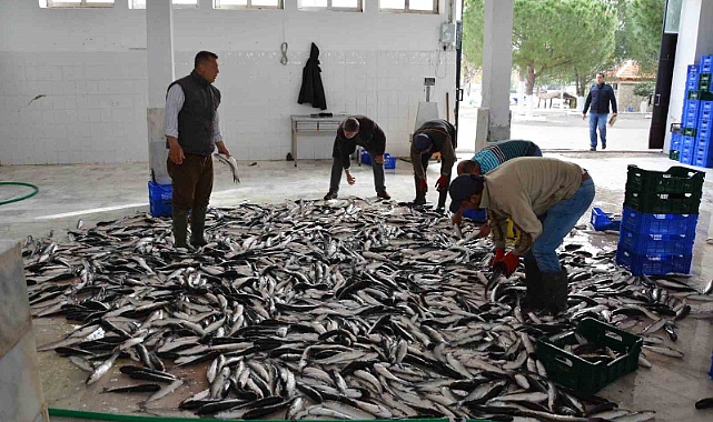 Muğla’nın Ocak ayı ihracatı 80,5 milyon dolar