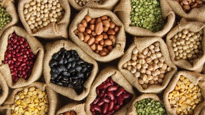 Şanlıurfa'nın ata tohumları satışta