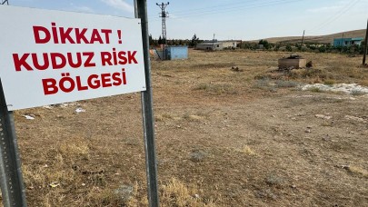 Şanlıurfa'da 'Kuduz tedbirleri' tek tek açıklandı