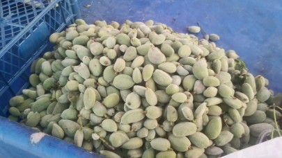 Tadı kaçan ürünlere bu da eklendi