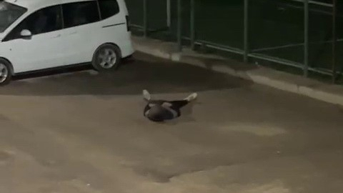 Yere yığılan şahıs hastaneye kaldırıldı
