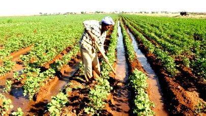Şanlıurfa tarımına 30 maddelik reçete