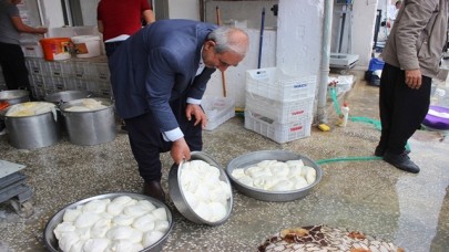 Urfa peyniri görücüye çıktı