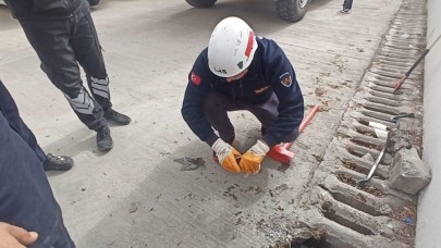 Şanlıurfa’da mazgala düşen yavru kedi kurtarıldı