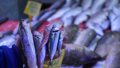 ’Vira Bismillah’tan vedaya: Sezonun son balıkları tezgahlarda