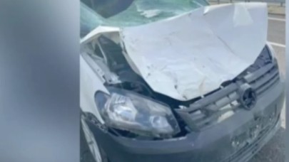 Şanlıurfa'da yola çıkan inek kazaya yol açtı: 1 ölü