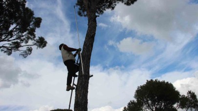 Metrelerce yükseklikte ekmek parası için gözünü kırpmadan çalışıyor