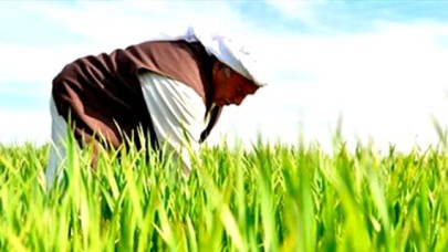 Şanlıurfa çiftçisinin borcu daha da kabaracak