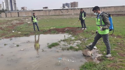 Siverek'te vektörle mücadele erken başladı